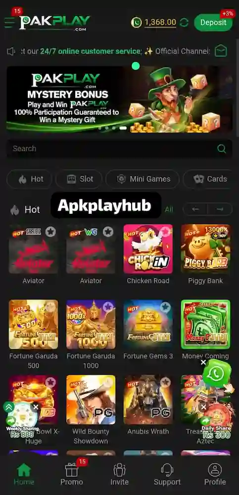 PakPlay Game interface ss